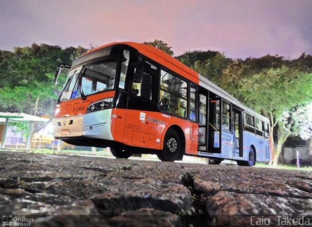 Caio Millennium BRT - Gato Preto
